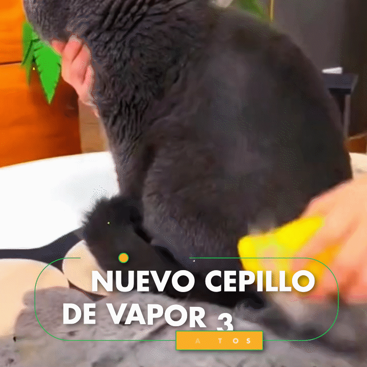 CEPILLO A VAPOR PARA MASCOTAS